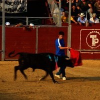 FERIA 2008. BECERRADA LOCAL