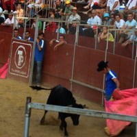 FERIA 2008. BECERRADA LOCAL