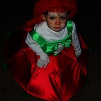 CARNAVAL 2009