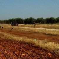 CARRERA DE GALGOS