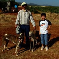 CARRERA DE GALGOS