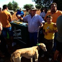 CARRERA DE GALGOS