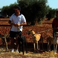 CARRERA DE GALGOS