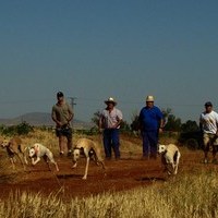 CARRERA DE GALGOS