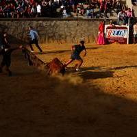 Feria 2016