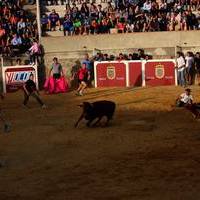 Feria 2016