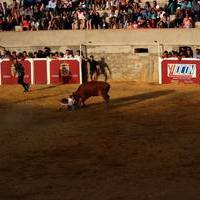 Feria 2016