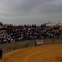 Tentadero publico XLVIII Fiesta de Primavera