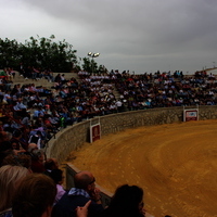 Tentadero publico XLVIII Fiesta de Primavera