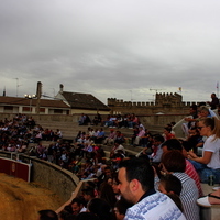 Tentadero publico XLVIII Fiesta de Primavera