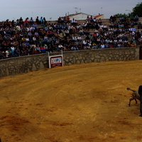 Tentadero publico XLVIII Fiesta de Primavera