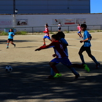 Competiciones deportivas XLVIII Fiesta de Primavera