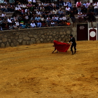 Tentadero publico XLVIII Fiesta de Primavera