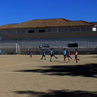 Competiciones deportivas XLVIII Fiesta de Primavera