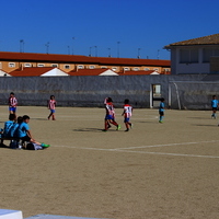 Competiciones deportivas XLVIII Fiesta de Primavera