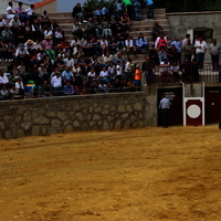 Tentadero publico XLVIII Fiesta de Primavera