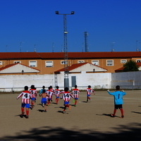 Competiciones deportivas XLVIII Fiesta de Primavera