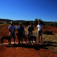 Carrera de Galgos 2017