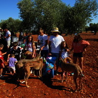 Carrera de Galgos 2017