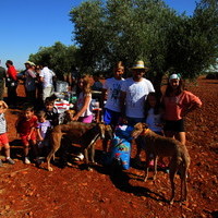 Carrera de Galgos 2017