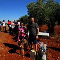 Carrera de Galgos 2017