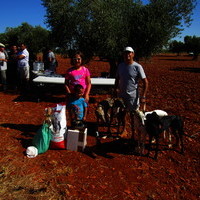 Carrera de Galgos 2017