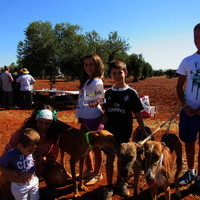 Carrera de Galgos 2017