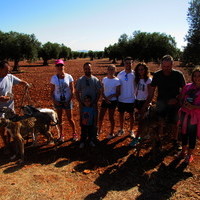 Carrera de Galgos 2017