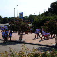 Excursión Parque Warner 