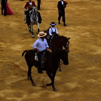 Toros Feria 2017