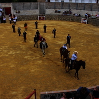 Toros Feria 2017