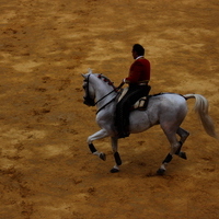 Toros Feria 2017