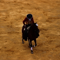 Toros Feria 2017