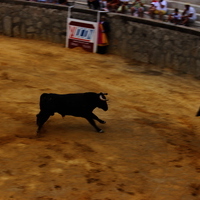 Toros Feria 2017