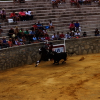 Toros Feria 2017