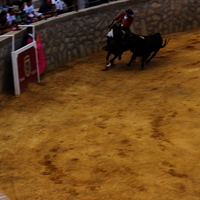 Toros Feria 2017