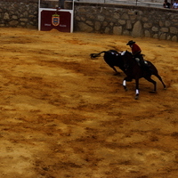 Toros Feria 2017