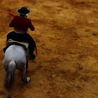 Toros Feria 2017