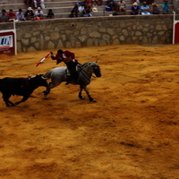 Toros Feria 2017