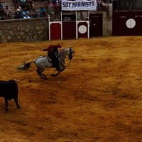 Toros Feria 2017