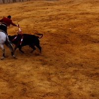 Toros Feria 2017