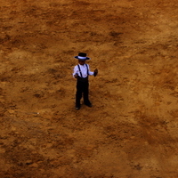 Toros Feria 2017