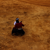 Toros Feria 2017