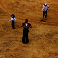 Toros Feria 2017