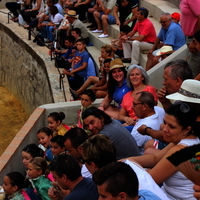 Toros Feria 2017