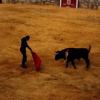 Toros Feria 2017