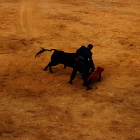 Toros Feria 2017