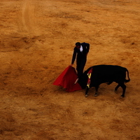 Toros Feria 2017