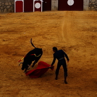 Toros Feria 2017