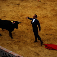 Toros Feria 2017